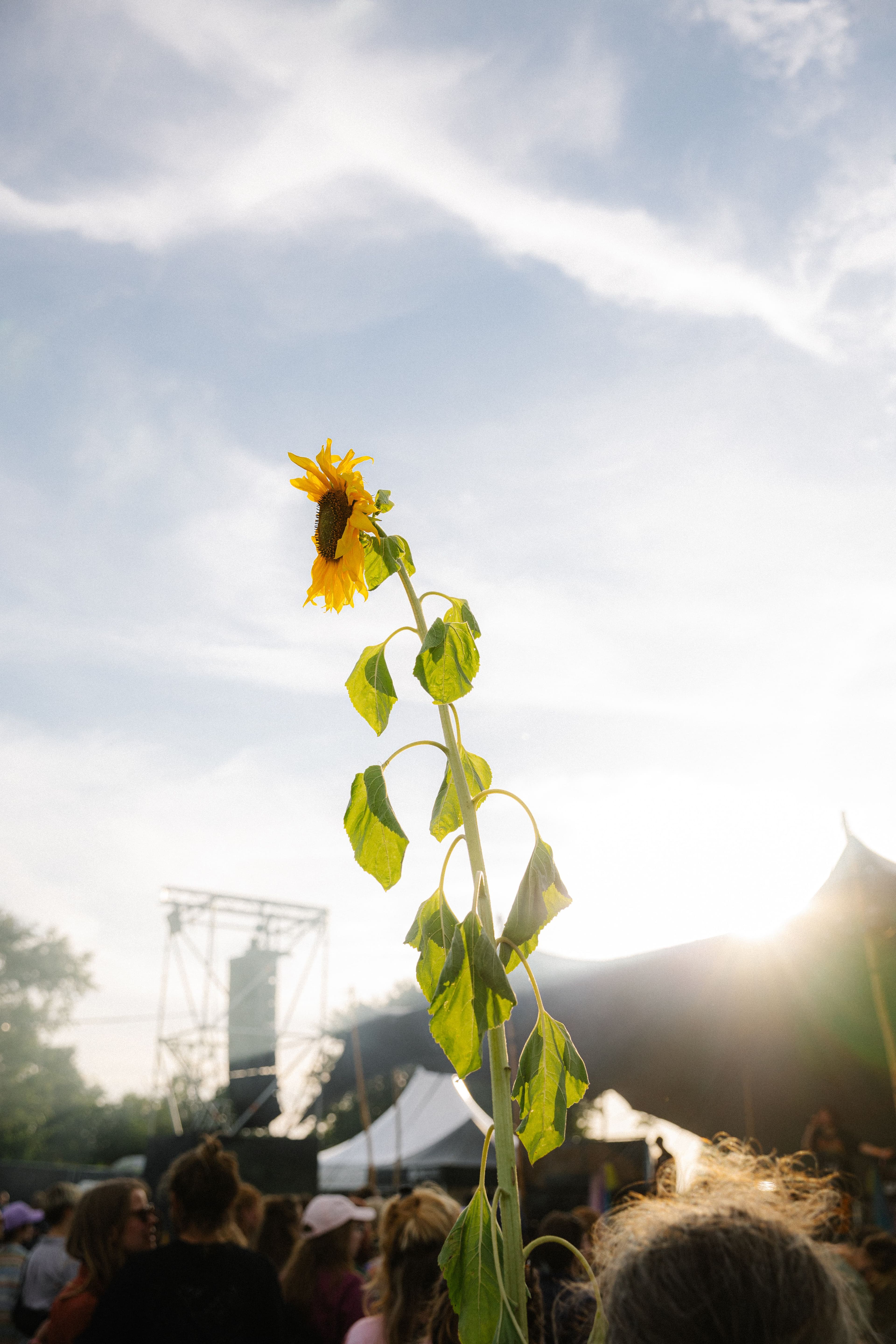 Sonnenschutz für Besuchende