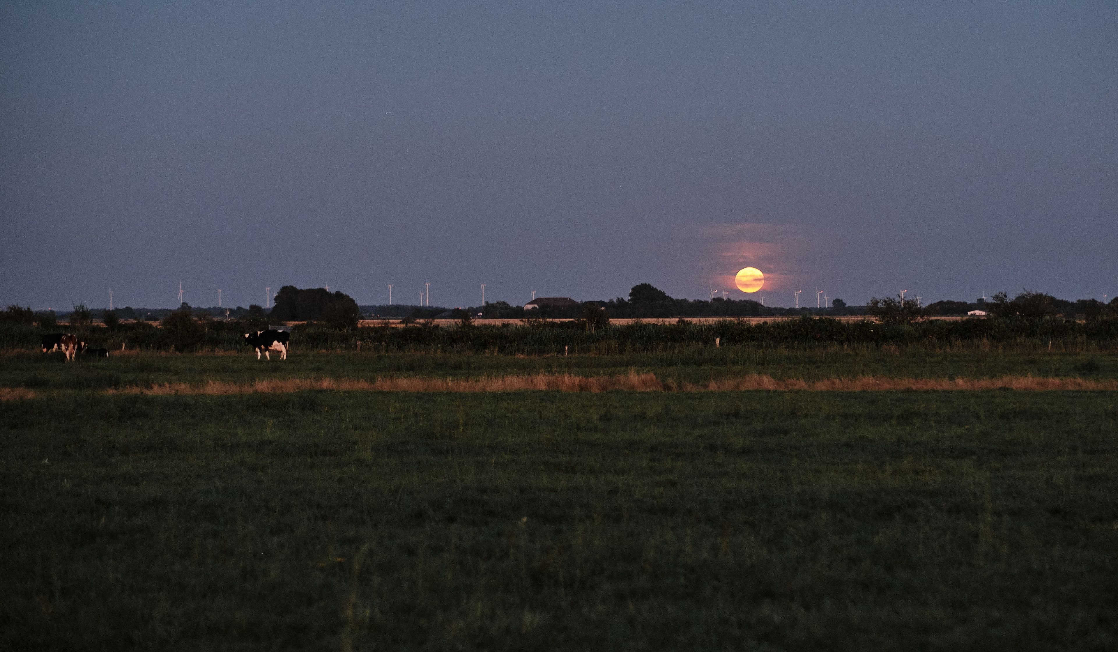 Flexible Arbeitszeiten