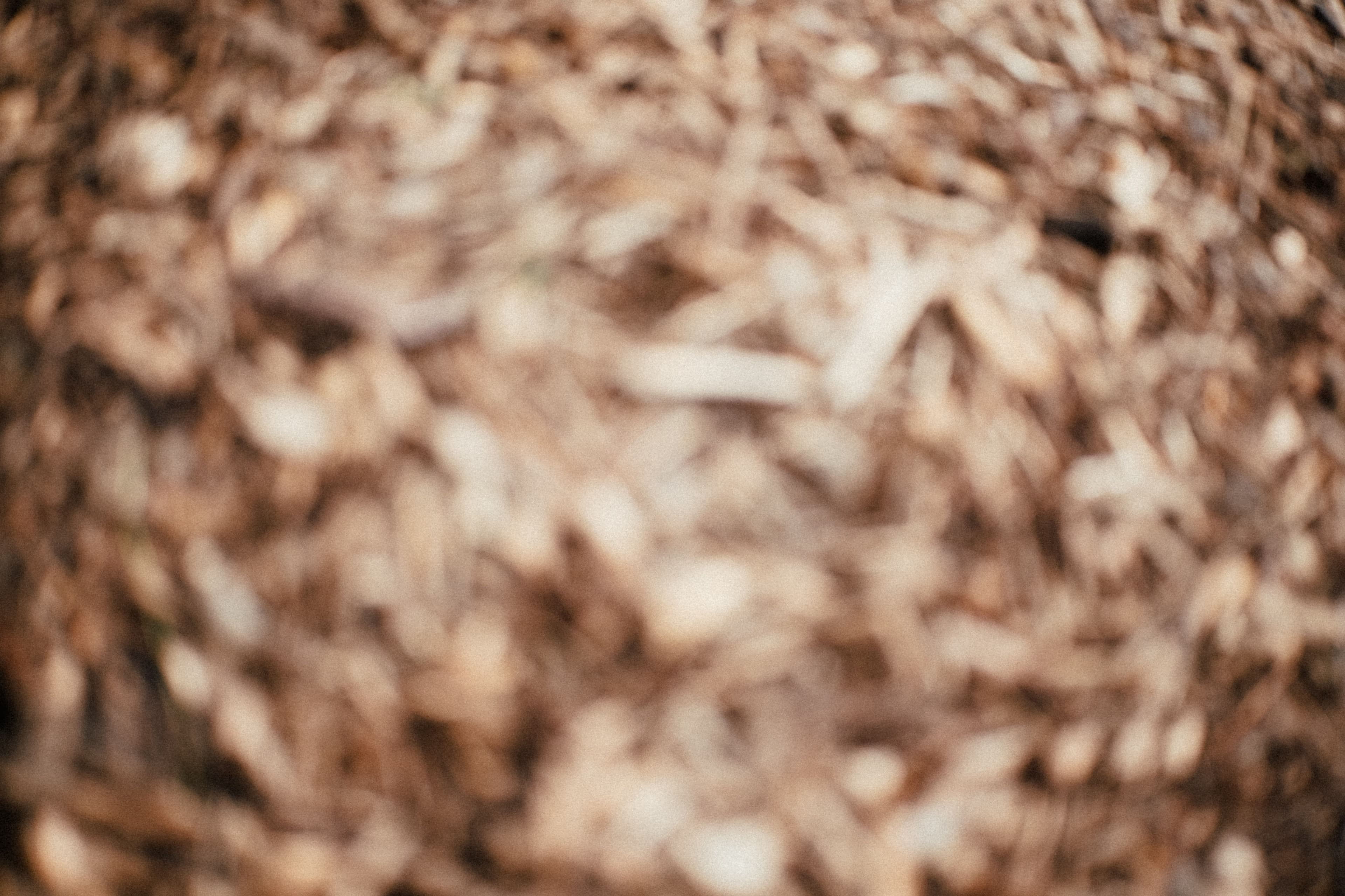 Unterstützung bei Drogenmissbrauch