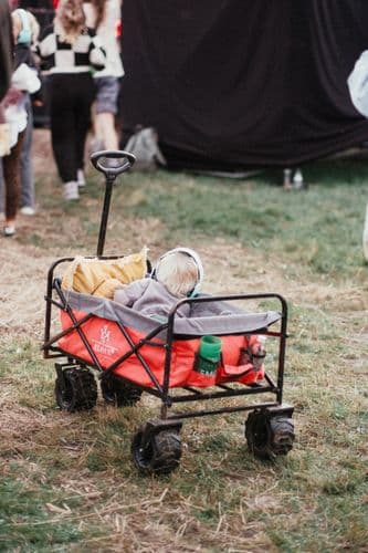 Gehörschutz für Mitarbeitende