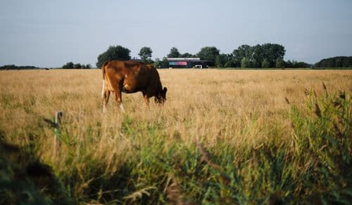 Kontaktmöglichkeit für Anwohnende